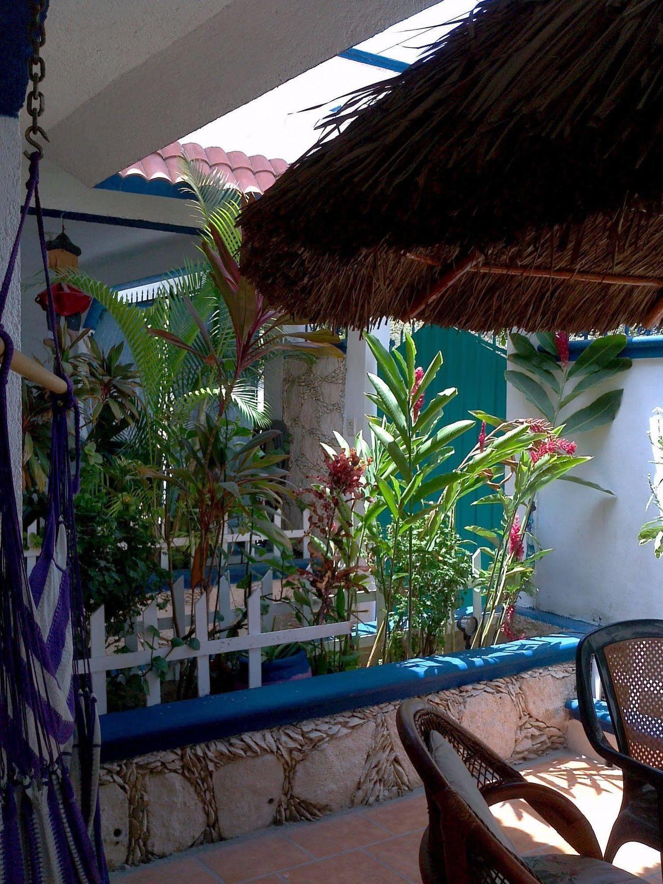 Alicia'S Bed & Breakfast Cozumel Eksteriør bilde